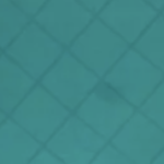 Tropical Teal